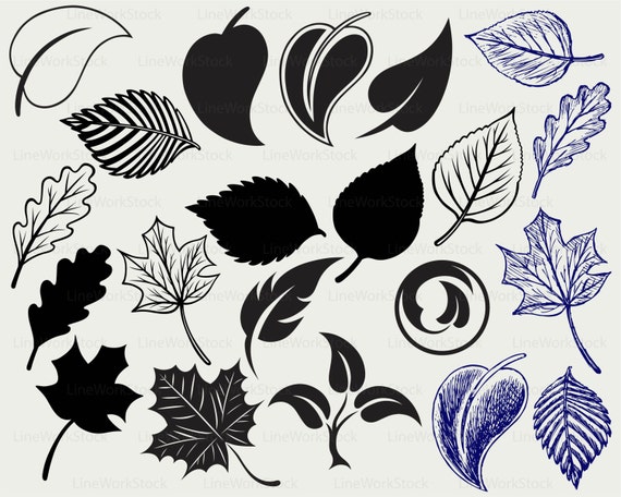 Download Leaves svg/leaf clipart/leaves svg/leaves silhouette/leaf | Etsy