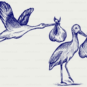 May include: A pen and ink illustration of two storks. One stork is in flight, carrying a bundle in its beak. The other stork is standing, also carrying a bundle. The image is a sketch-like drawing with a light background.