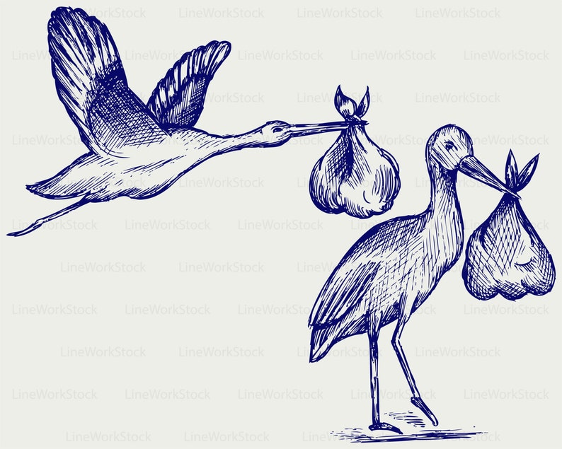 May include: A pen and ink illustration of two storks. One stork is in flight, carrying a bundle in its beak. The other stork is standing, also carrying a bundle. The image is a sketch-like drawing with a light background.