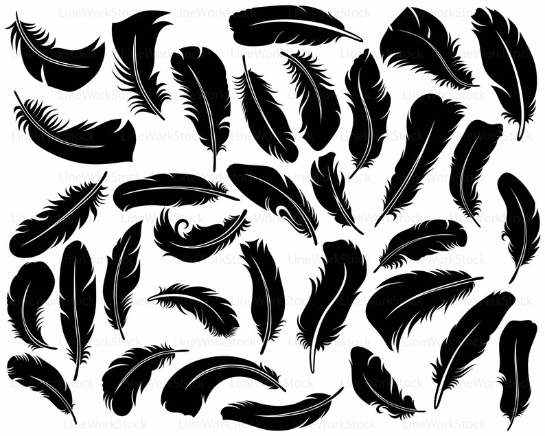 Download Feathers svg/feathers clipart/feathers svg/feathers | Etsy