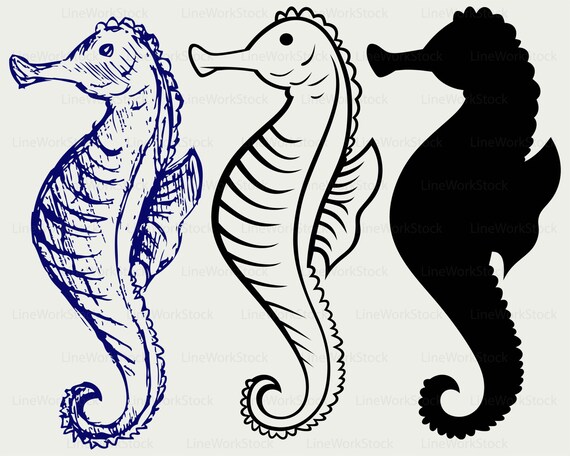 Cavalluccio Marino Svg Cavalluccio Marino Clipart Seahorse Etsy