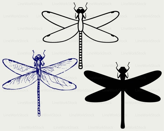 Download Dragonfly Svg Dragonfly Clipart Dragonfly Svg Dragonfly Etsy