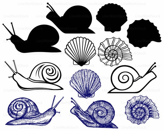 Snail Svg Snail Clipart Snail Svg Snail Silhouette Snail Etsy