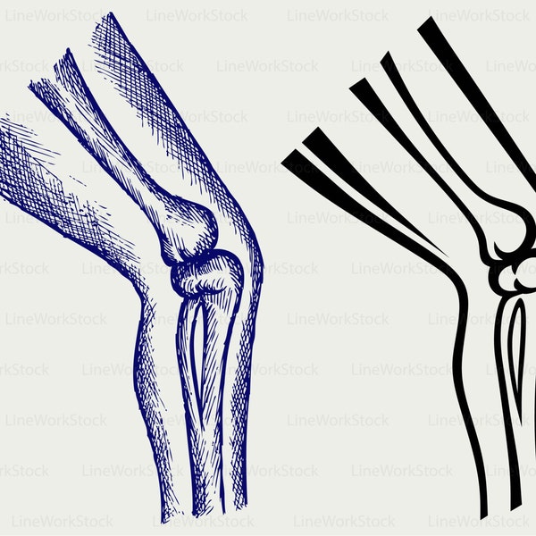 Leg svg,leg clipart,human leg svg,leg bones silhouette,leg cricut,leg cut files,leg clip art,leg digital download designs,svg,dxf