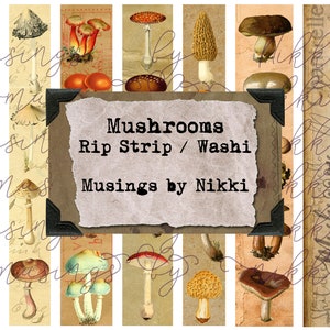 May include: A set of 10 vintage-style mushroom illustrations on a brown background. The illustrations are perfect for crafting and scrapbooking. The text on the image reads "Mushrooms Rip Strip / Washi Musings by Nikki".