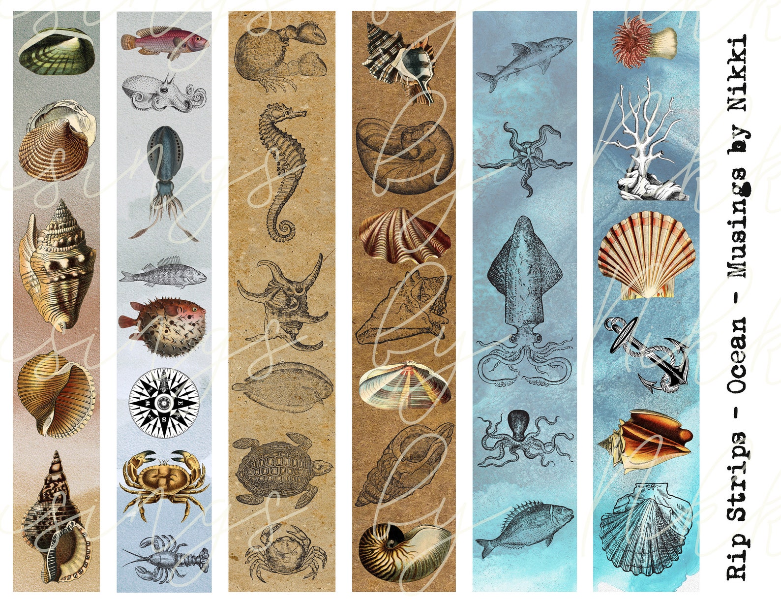 Ocean Life Rip Strip Washi Tape Digital Ephemera Etsy