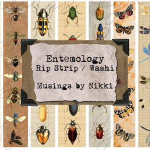 Entemology Rip Strip - Washi Tape - Digital Ephemera