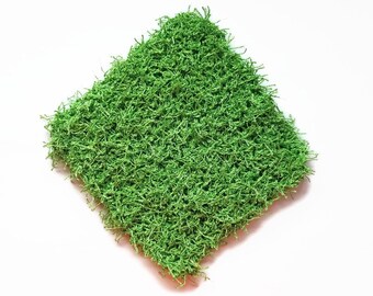 Little Green Scrubby Square - Non Scratch Dish Scrubber