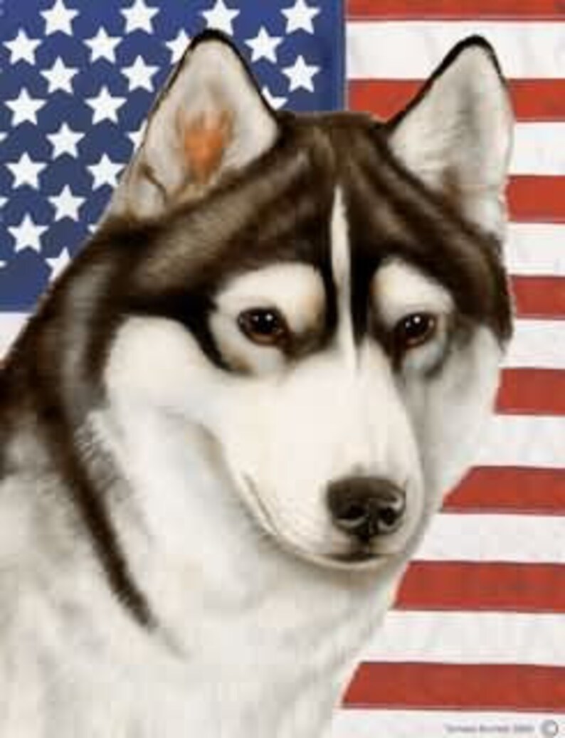 Siberian Husky Patriotic TBII Flag 28 X 40 Inches Etsy