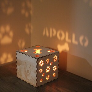 May include: A wooden box with a photo of a dog and paw prints cut out. The box is lit from inside, casting shadows of paw prints and the name "APOLLO" on the wall.