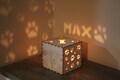Custom Dog Memorial Passing Gift, Pet Loss Gift, Custom Pet Memorial Gift, Custom Dog Portrait, Light Up Message Box product logo