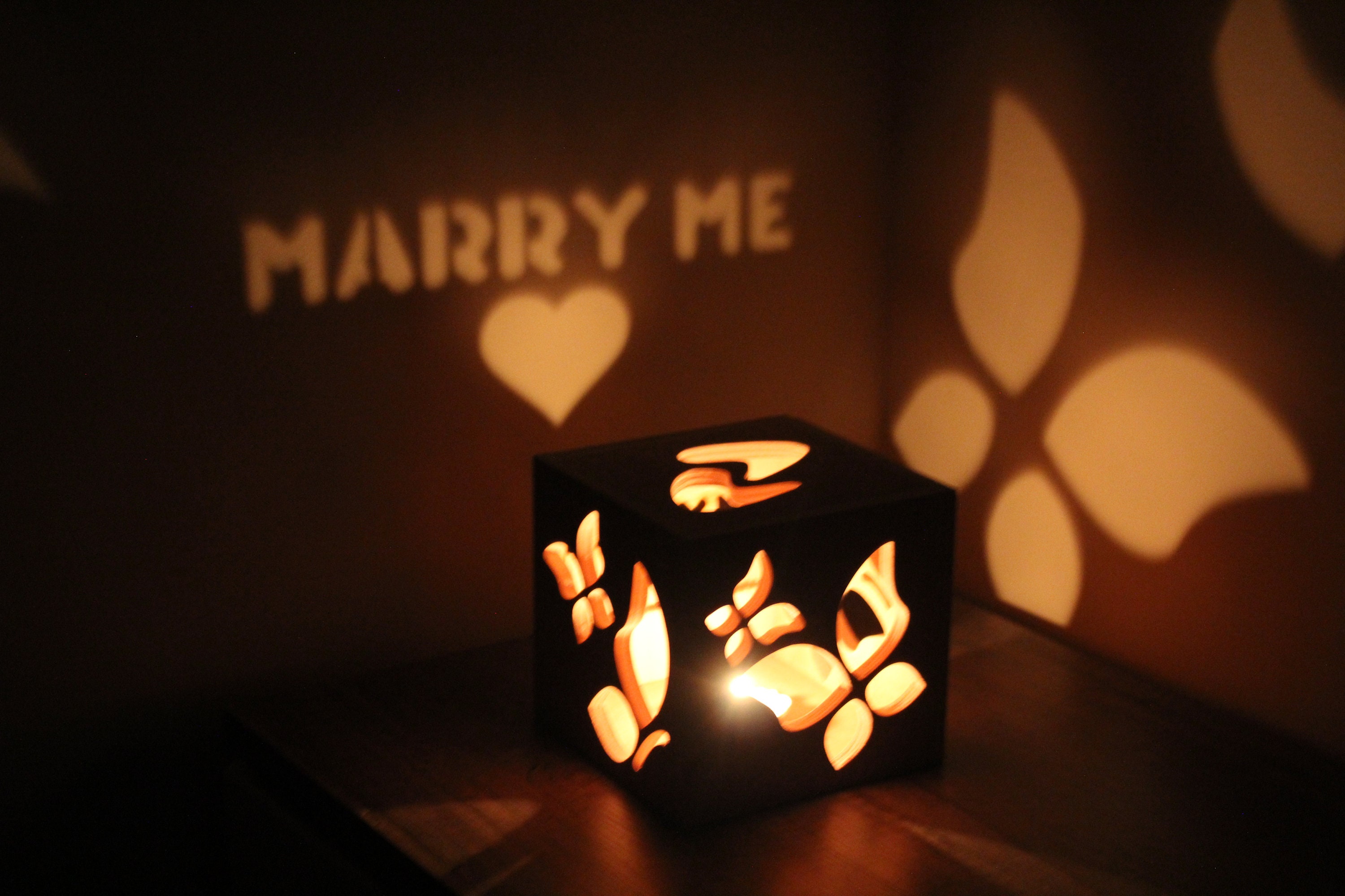 Marriage Proposal Wedding Proposal Will You Marry Me Engagement