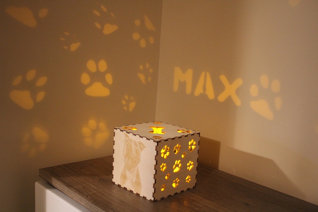 Personalized Dog Memorial Light up Box Dog Passing Away Gift Etsy