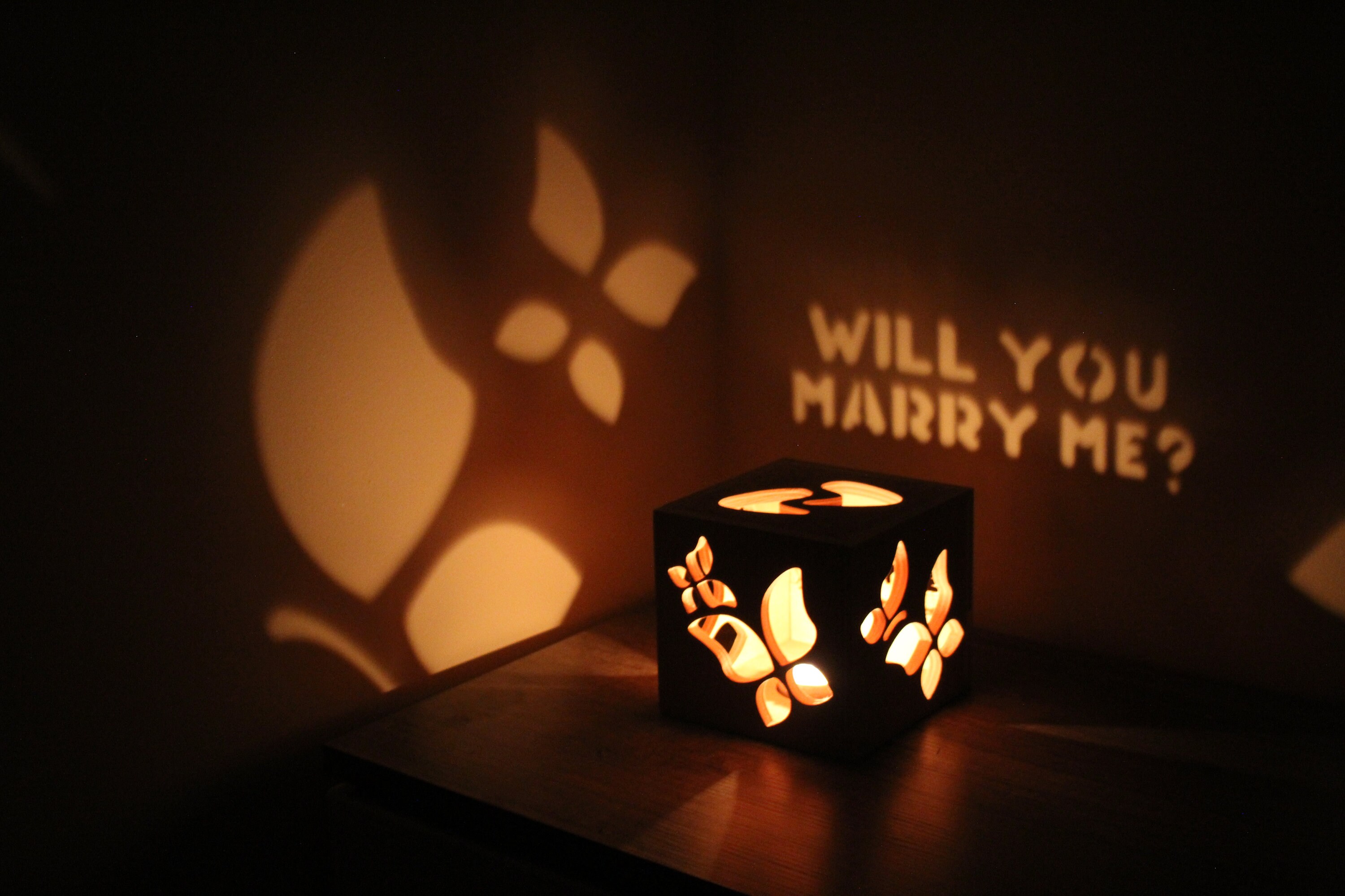 Will You Marry Me Marriage Proposal Wedding Proposal Marry Me