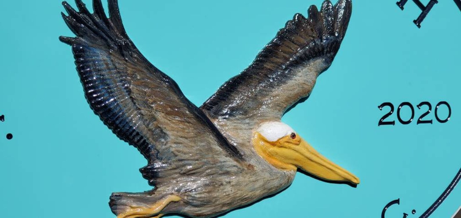 Large Beach House Name Signs Pelican Address Sign Etsy