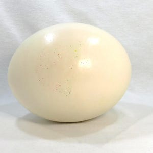 Hand Blown Real Ostrich Egg Nice Shape For Crafters