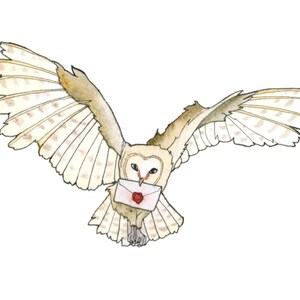 Owl Post Art Print Harry Potter Fan Art Owl Delivering Mail | Etsy