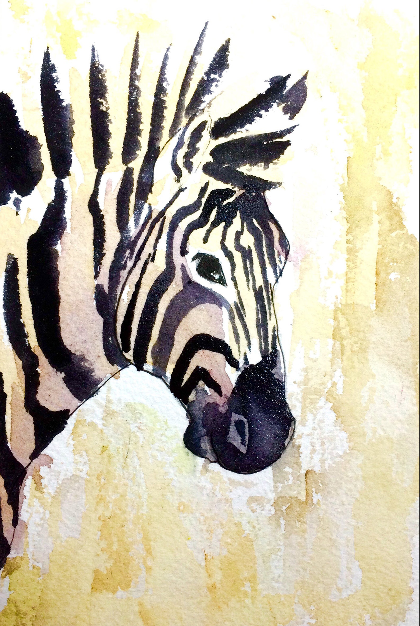 Zebra Watercolor Art Print Zebra Wall Art Zoo Animal Nursery Etsy