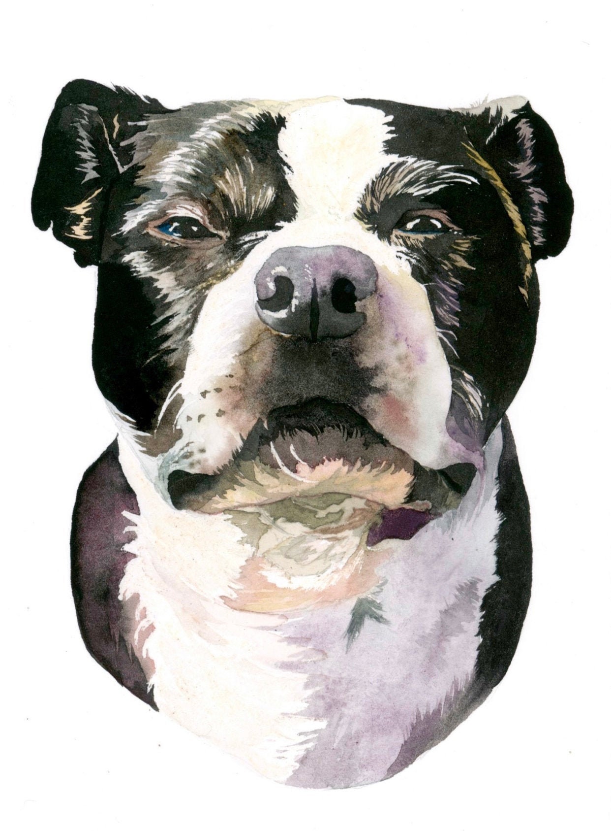 Custom Watercolor Sketch of Your Pet Watercolor Painting of | Etsy