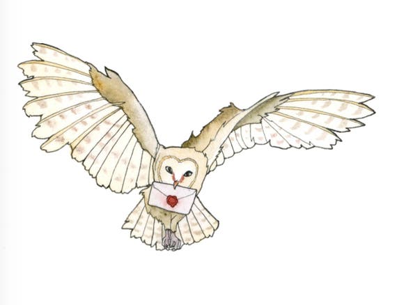 Owl Post Art Print Harry Potter Fan Art Owl Delivering Mail Etsy Owl Post Art Print Harry Potter Fan Art Owl Delivering Mail Etsy
