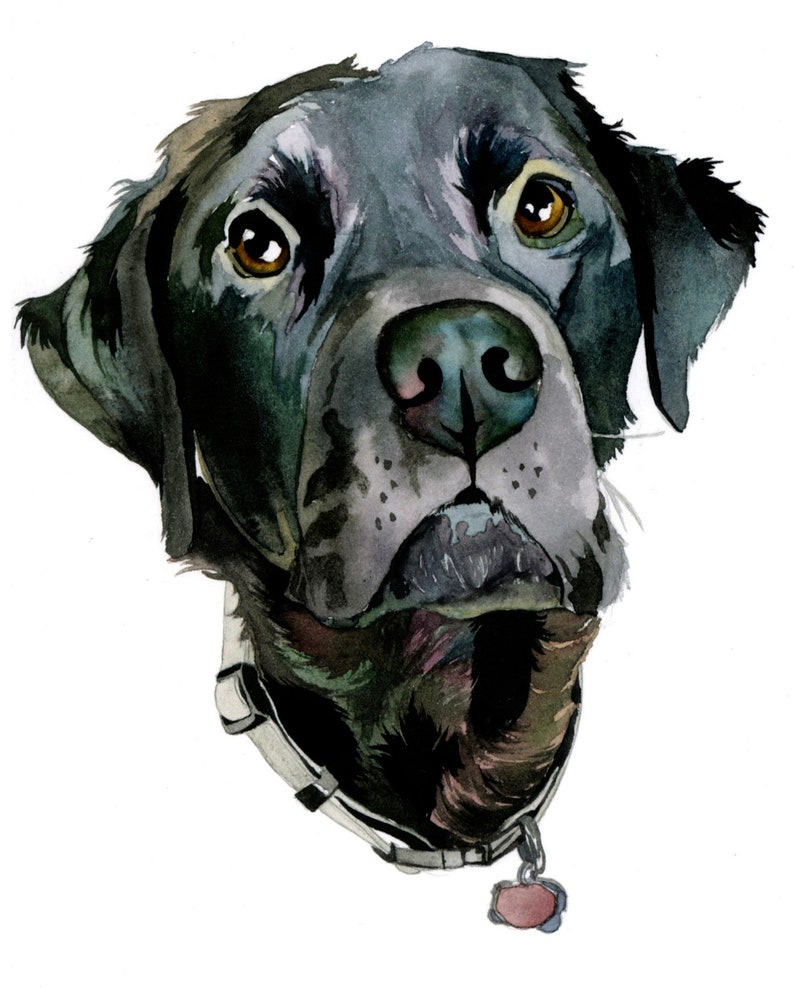 Custom Watercolor Sketch of Your Pet Watercolor Painting of | Etsy