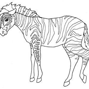 DIGITAL DOWNLOAD Zoo Animal Adult Coloring Book Pages, Wild Animal Color In Digital Adult Coloring Pages, Animal Themed Adult Coloring Art