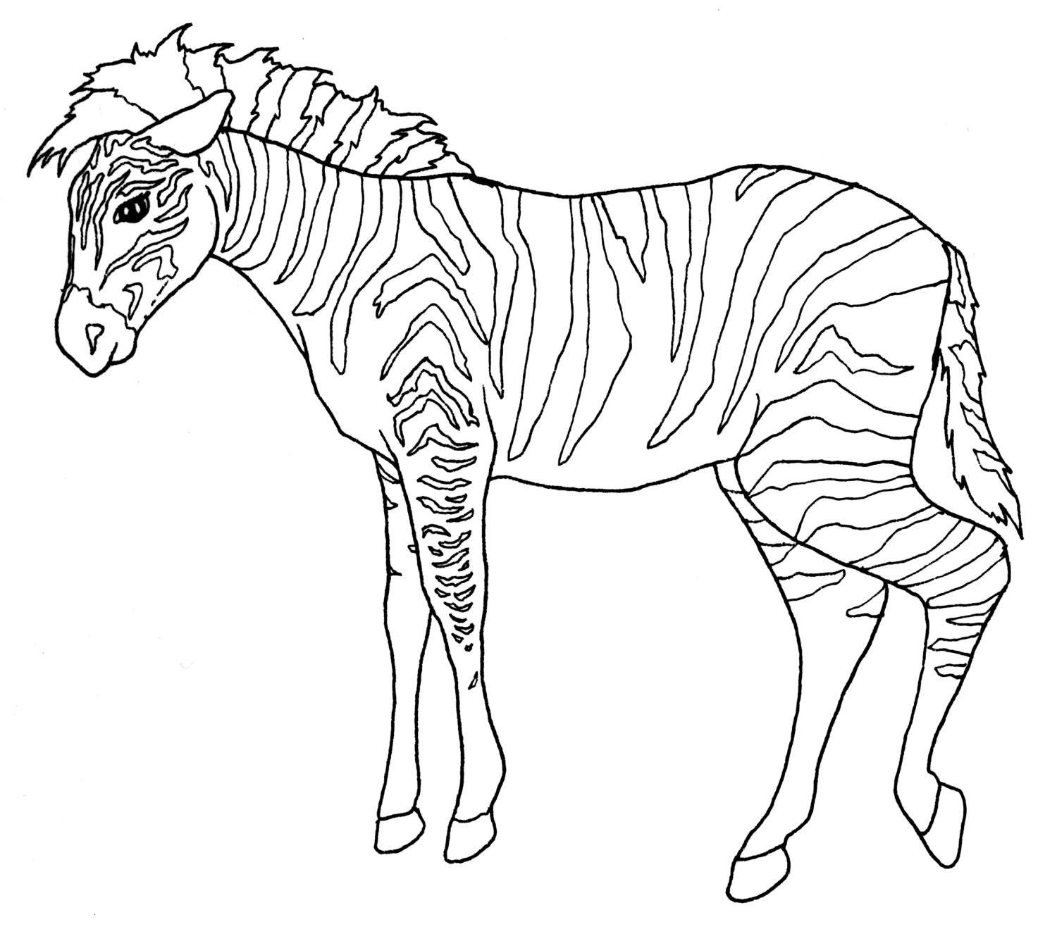 750  Zoo Animal Coloring Pages Pdf  Best HD