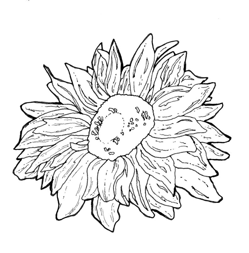 Download Floral Adult Coloring Book Digital Download Downloadable ...