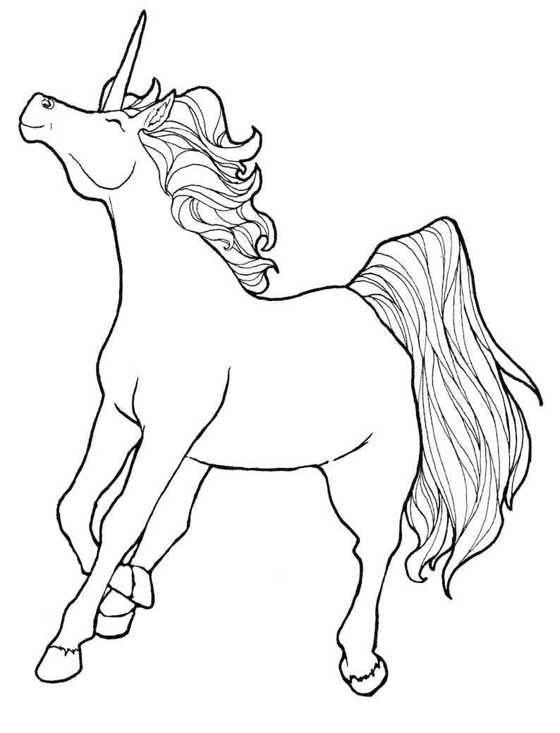digital download fantasy adult coloring pages unicorn themed etsy