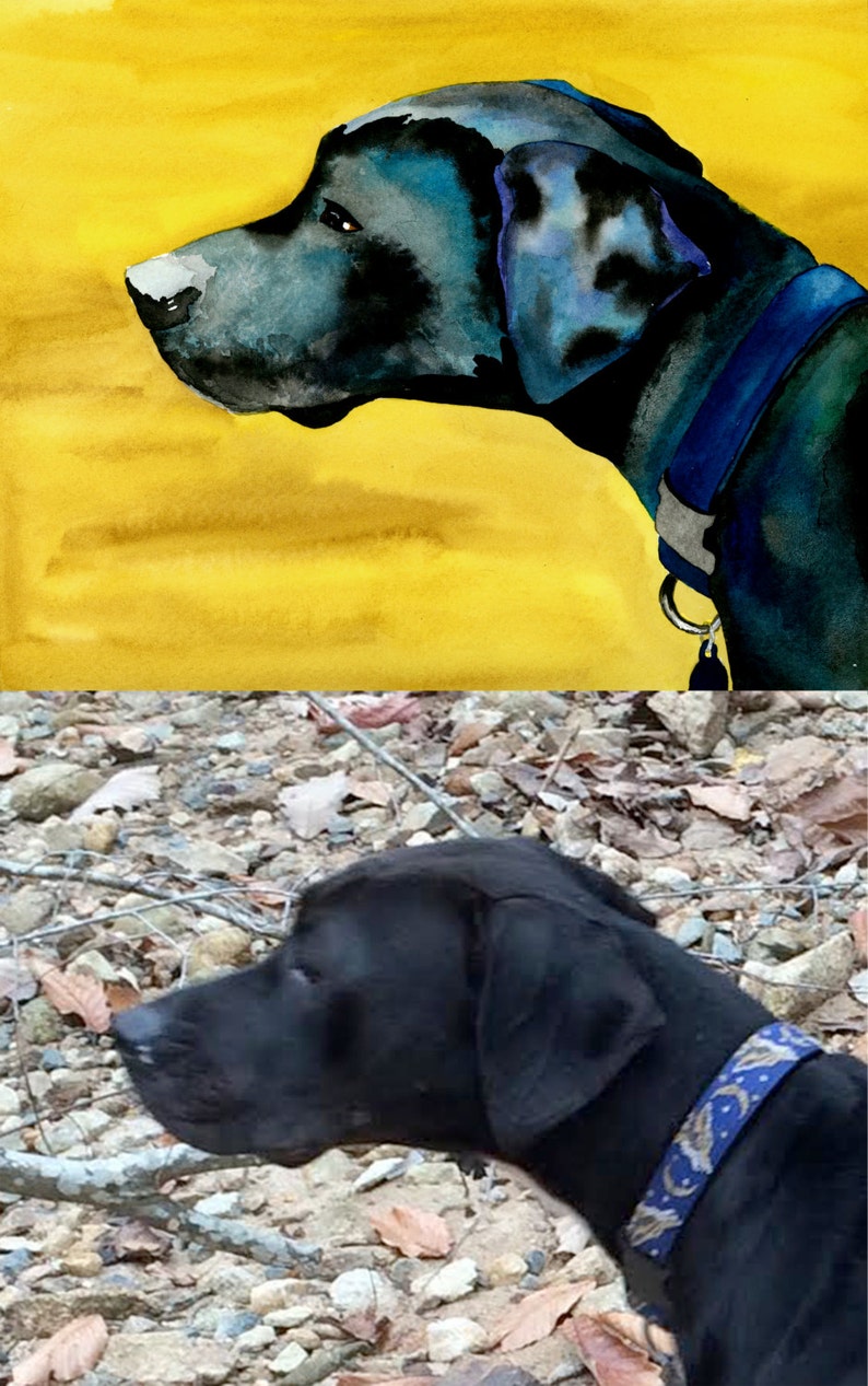 8x10 Ink and Watercolor Painting of Your Pet Custom Artist | Etsy