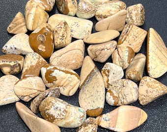 Picture Jasper Tumbled Stones (By The Piece Or Pound) Wholesale Bulk Gemstone Decor Supply Healing Crystals And Stones