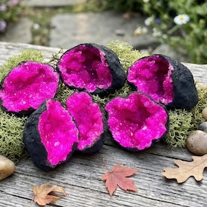 May include: A collection of six geode specimens with vibrant pink crystal interiors and dark, rough exteriors. The geodes are arranged on a bed of green moss, with small stones and fallen leaves scattered around them, creating a natural display.