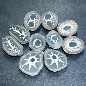 May include: A collection of polished, sliced geodes. The geodes have a variety of shapes, including oval and irregular forms. The interior features intricate white and gray patterns, with a dark center. The outer edges are a mix of gray and brown.