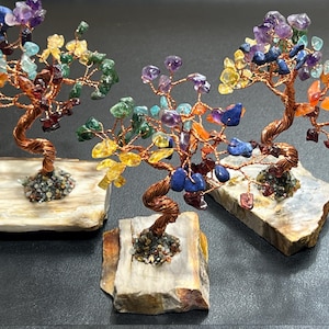 May include: Three small wire-wrapped trees with colorful gemstones on a natural stone base. The trees are decorated with various gemstones, including amethyst, carnelian, citrine, and lapis lazuli.