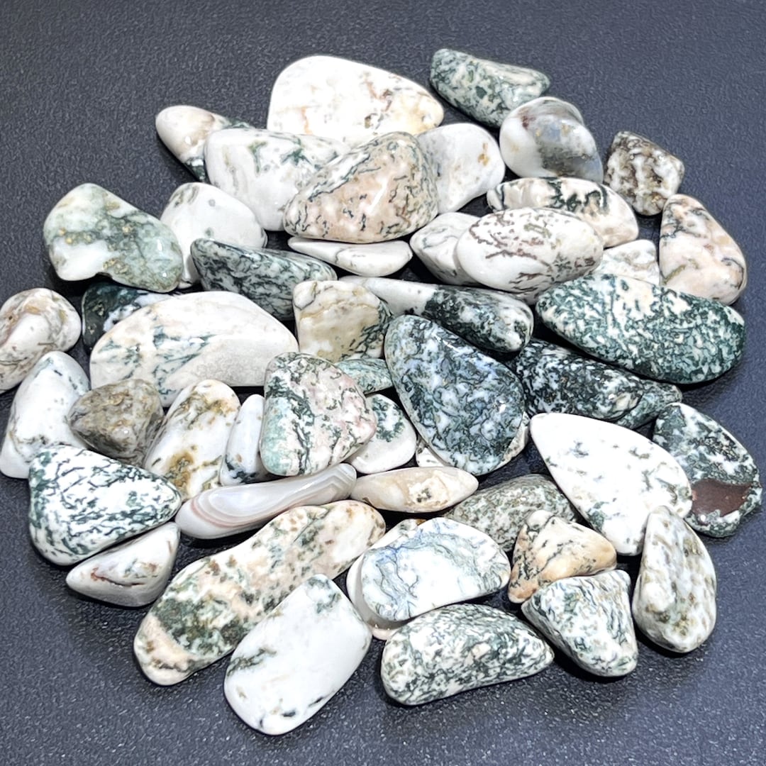 Timbled Tree Tree Agate Tumbled Stones (by the Piece or Pound) Bulk Wholesale Lot ...
