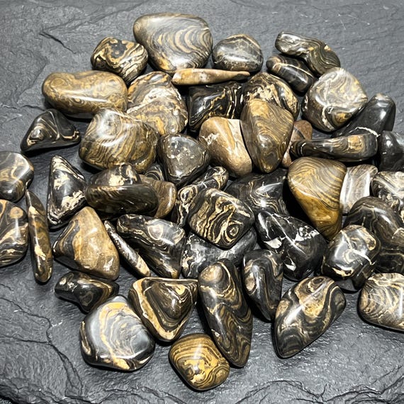 Stromatolite Fossil Tumbled Stones (By The Piece or Pound) Gemstone Decor Gift Specimen Healing Crystals