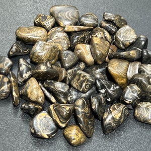 Tumbled Stromatolite Fossil Stones (By The Piece or Pound) Wholesale Gemstone Decor Supply Healing Crystals And Stones