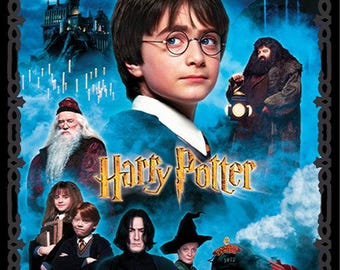 Harry Potter Cotton Fabric Panel (44x36 Inches) - Harry Potter Collection