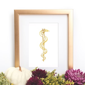 Rod Of Asclepius Gold Foil Art Print, Cadeau d’étudiant en médecine, Décor de bureau de médecins Assistant de médecin Affiche d’art Cadeau d’infirmière, Personnel