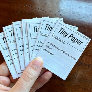 Tiny newspaper zine, artist magazine booklet, miniature reading material, bug art, TV article