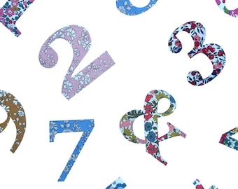Liberty Print 15cm Numbers Iron On Applique
