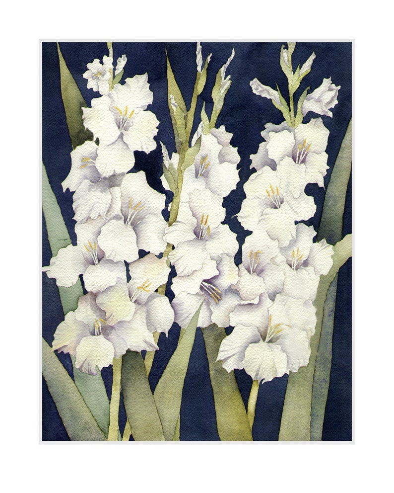 Gladiolus Watercolor Painting, White Gladiolus Art print for home decor wall art image 8