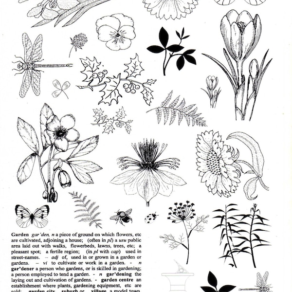 Flower and Garden Designs - A4 non adhesive Unmounted rubber stamp- 26 designs