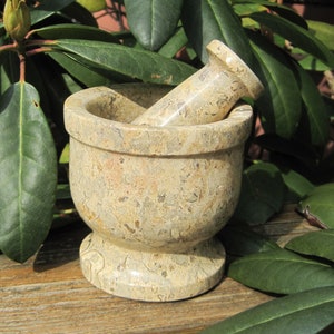 FOSSIL Stone MOTAR & PESTLE Set - For Crushing Herbs, Seeds or Nuts, Grinding Spices, Blending or Mixing!
