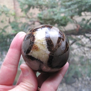 Dragon SEPTARIAN Sphere Polished CRYSTAL BALL aka Dragon Stone with Plastic Stand.