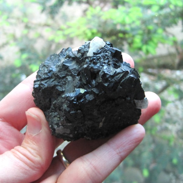 BLACK TOURMALINE (Schorl) & QUARTZ Unpolished Crystal Cluster- Purification and Protection, Grounding, Calming!