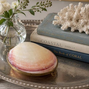 May include: A polished, oval-shaped seashell box with a brass metal rim and hinge, featuring a smooth, gradient surface transitioning from creamy white to a soft pink hue, resting on a silver-toned metal tray alongside books and a coral specimen.