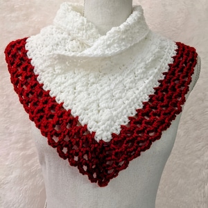 Neck warmer, collar, cowl, crocheted neck warmer