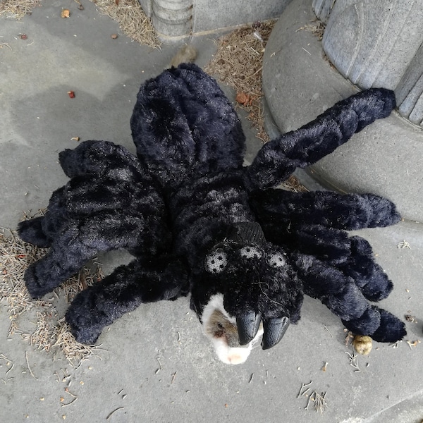 NEW* FurEver Ferrets- Black Tarantula Ferret costume by TKCCOZYPAWZ