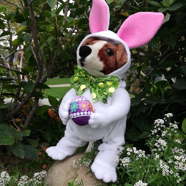 Standing(one egg) EASTER BUNNY dog costume By tkccozypawz